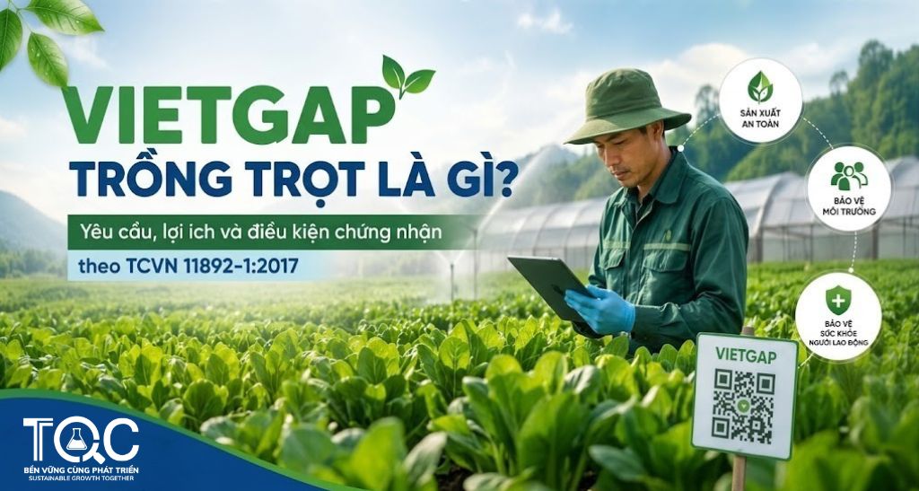 Vietgap Trồng Trọt là gì?