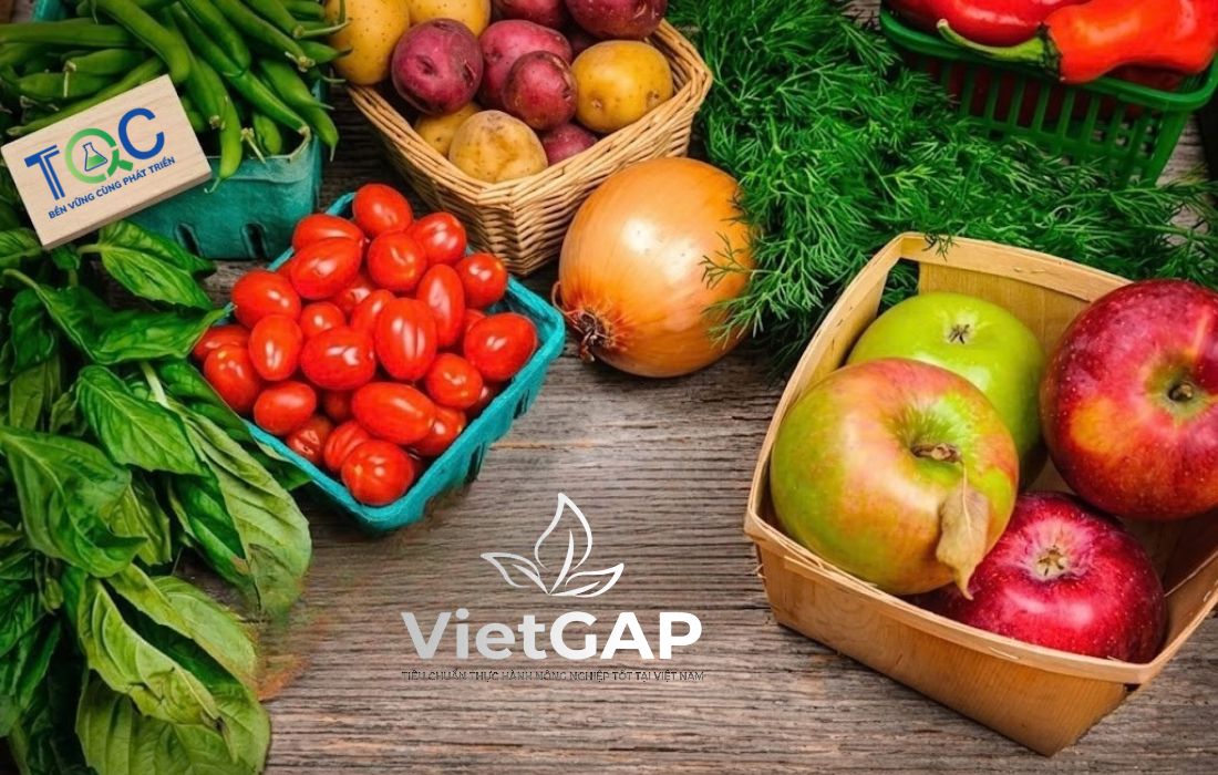 Các lĩnh vực áp dụng tiêu chuẩn VietGAP