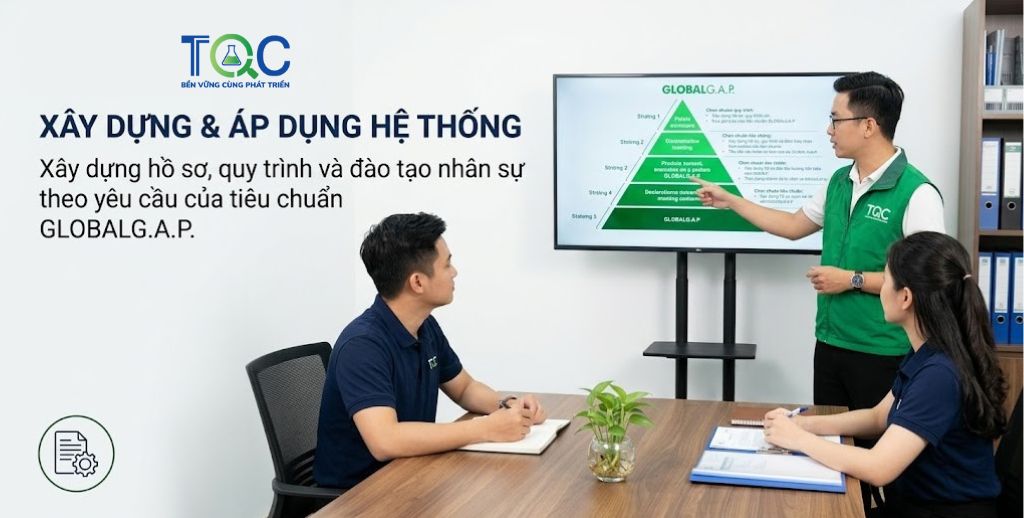 Xây dựng hệ thống đào tạo chứng nhận Global Gap