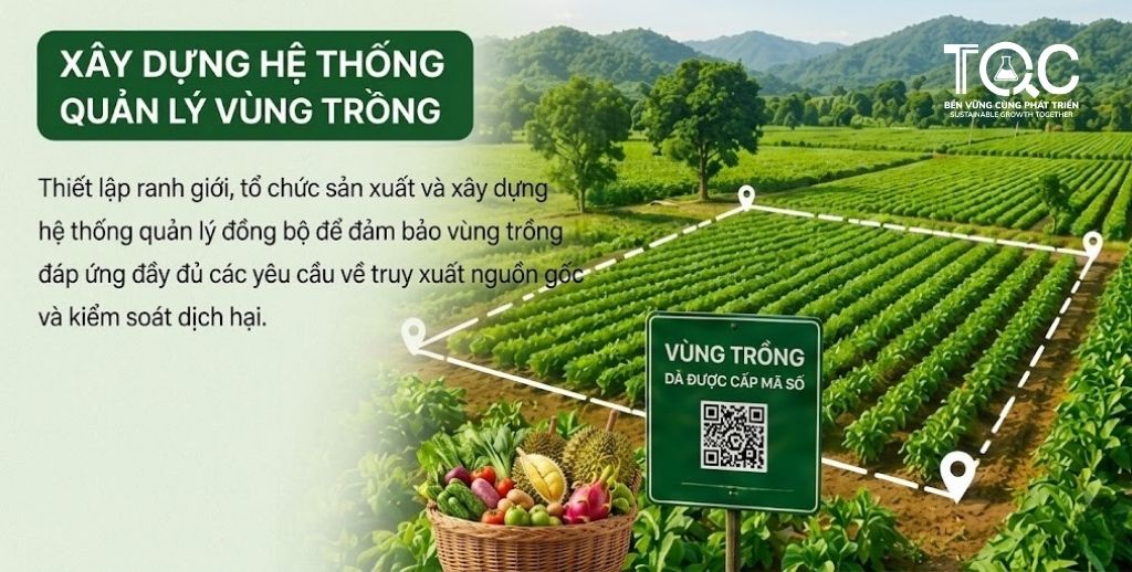 Xây dựng hệ thống quan lý vùng trồng