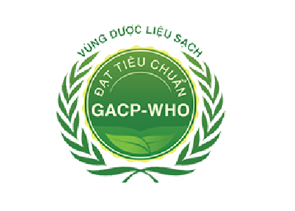 Tư vấn chứng nhận GACP-WHO - Đảm bảo an toàn chất lượng riêng cho dược liệu