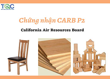 Tư vấn đạt chứng nhận CARB P2 - California Air Resources Board
