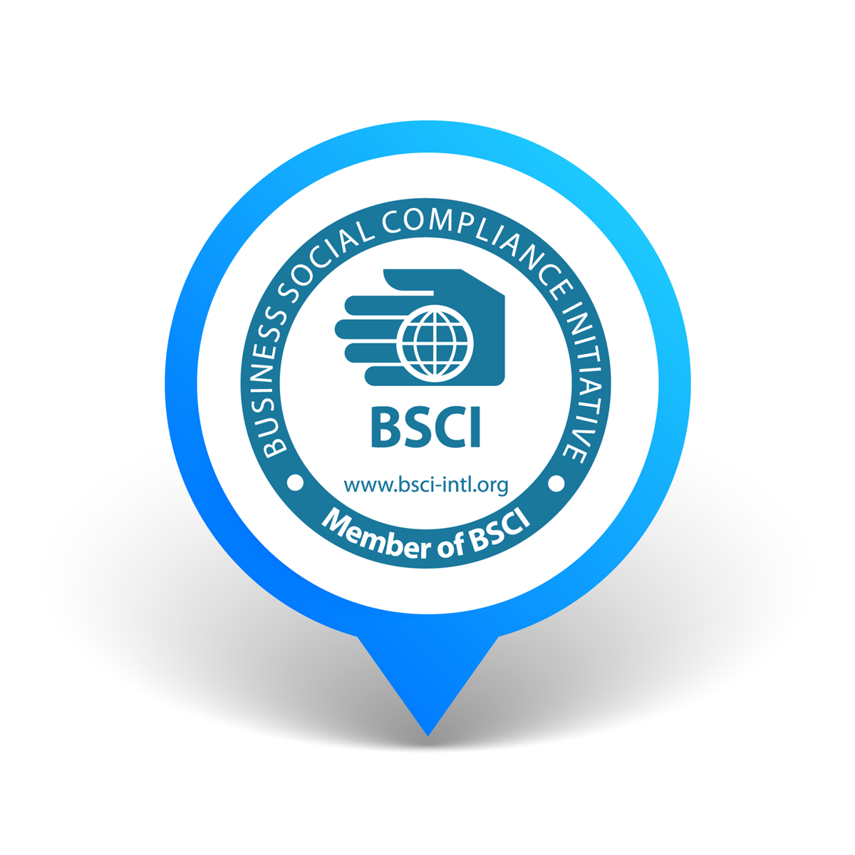 Chung nhan bsci