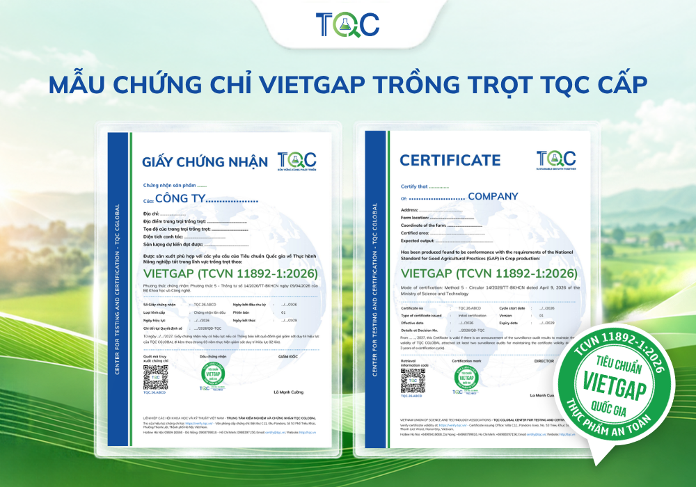 mau chung chi Vietgap