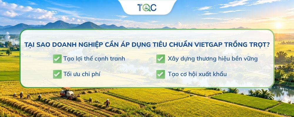Lợi thế khi có VietGAP