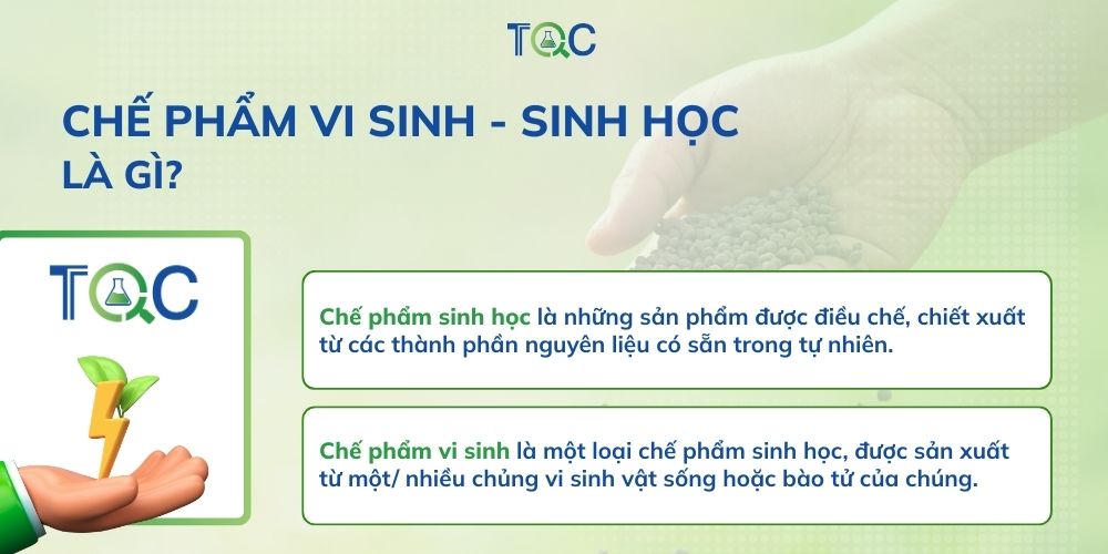 che pham sinh hoc vi sinh la gi