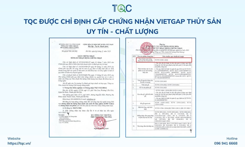 Chi dinh TQC