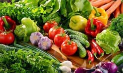 Rau hữu cơ các loại (rau ăn lá, rau ăn củ, rau gia vị, rau thơm…)