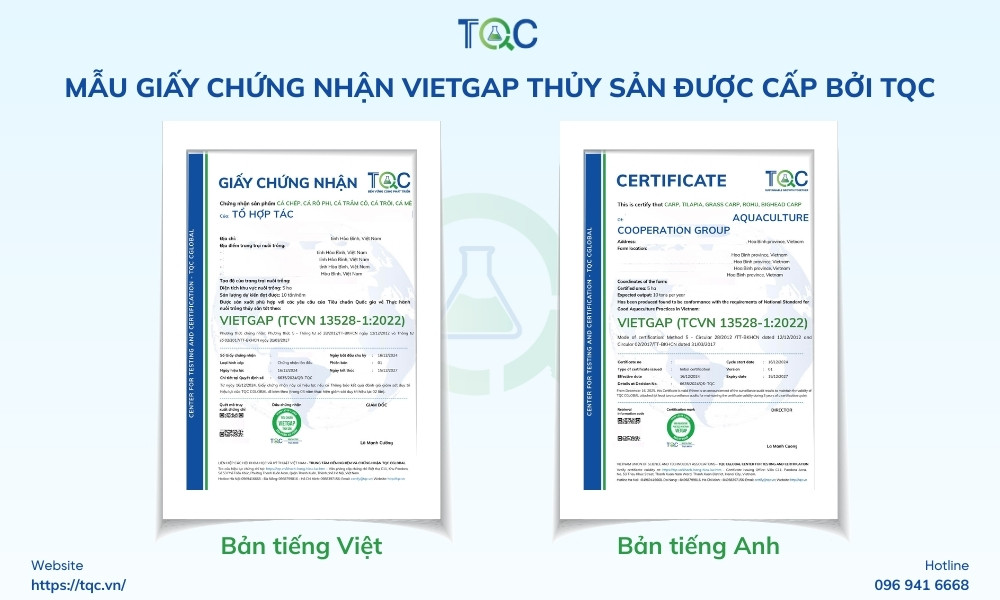chung nhan cua tqc