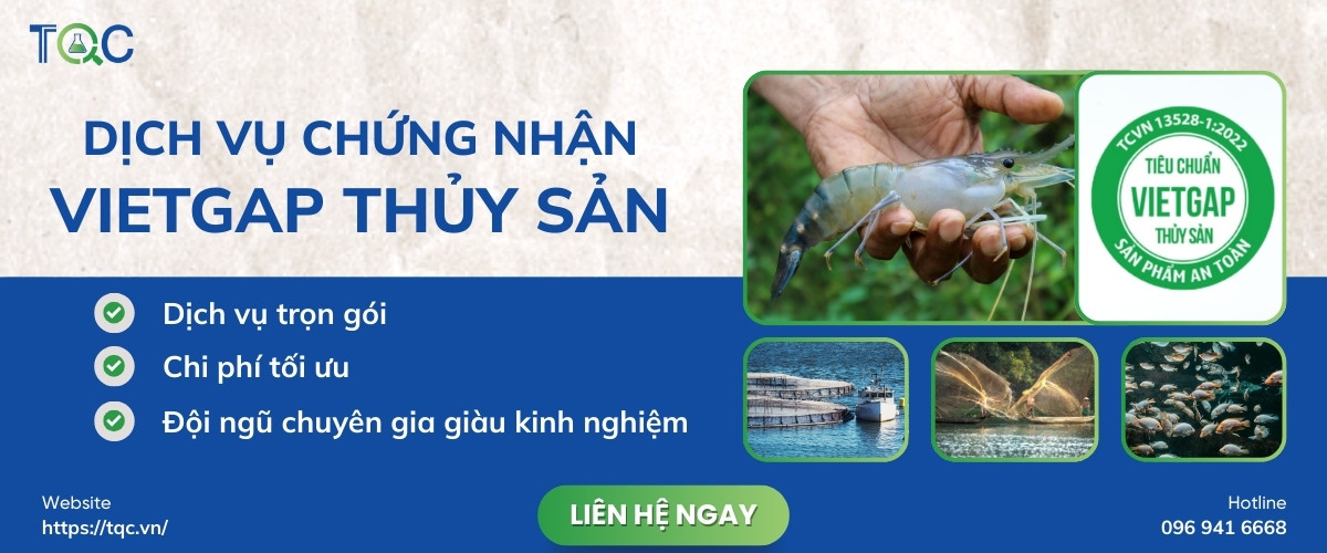 Dich vu chung nhan Vietgap thuy san