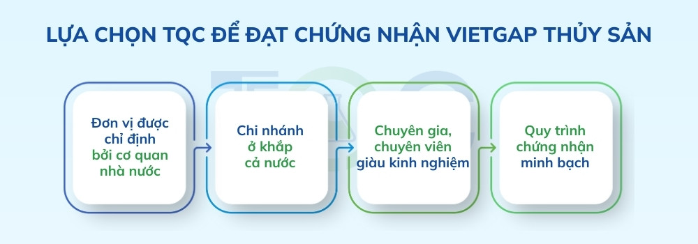 dich vu cua tqc