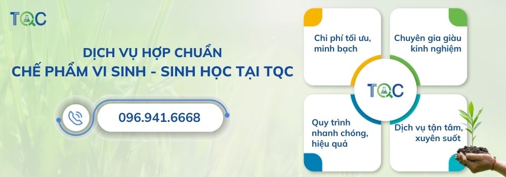 Dich vu hop chuan cua TQC