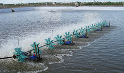 Chế phẩm xử lý môi trường nuôi trồng thủy sản