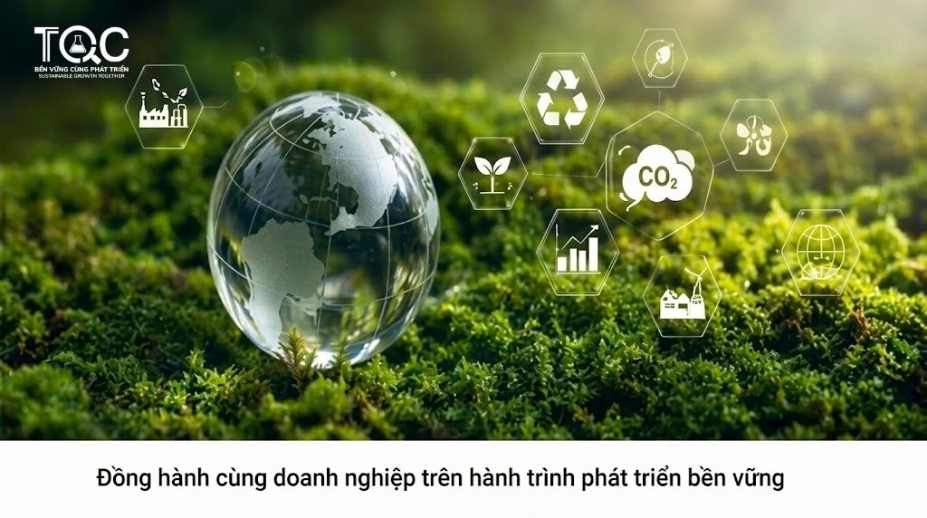 Đồng hồng cùng doanh nghiệp thẩm tra khí nhà kính