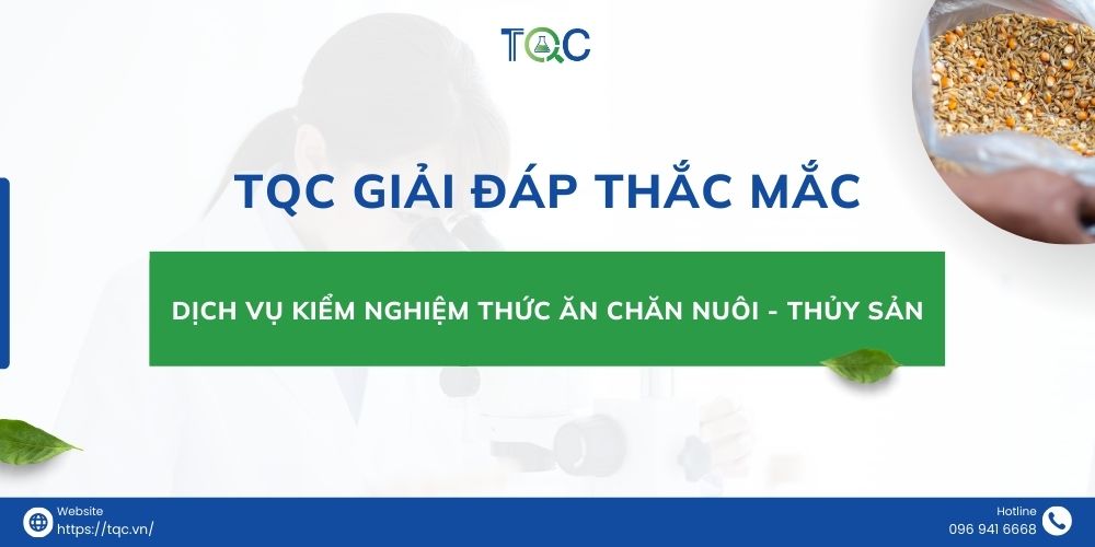 TQC giai dap thac mac