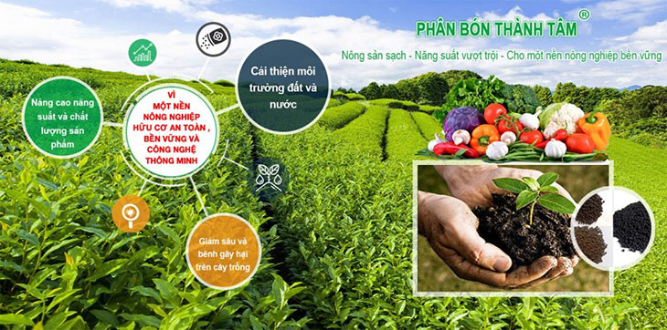 Chứng nhận iso 14001 mới nhất năm 2024 | TQC -14