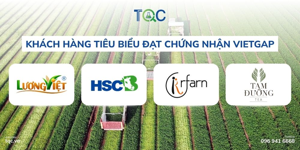 Khach hang tieu bieu chung nhan Vietgap