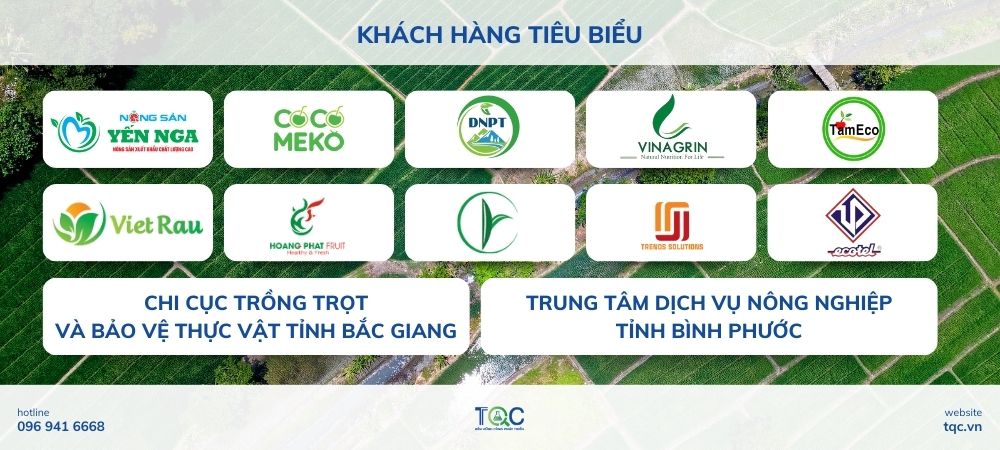 Khách hàng tiêu biểu chọn dịch vụ tư vấn GLOBALG.A.P. của TQC