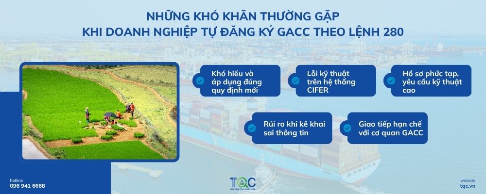 Những khó khăn thường gặp khi doanh nghiệp tự đăng ký GACC theo Lệnh 280