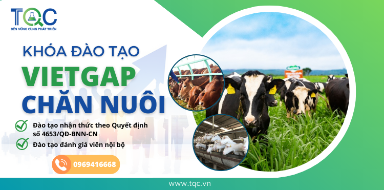 Khóa đào tạo nhận thức và đánh giá viên nội bộ tiêu chuẩn VietGAP chăn nuôi tại TQC CGLOBAL