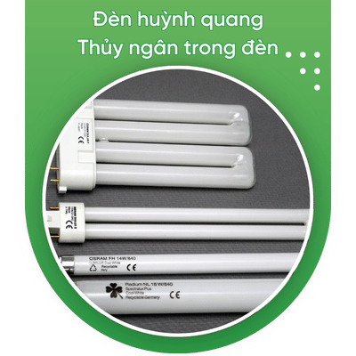den huynh quang