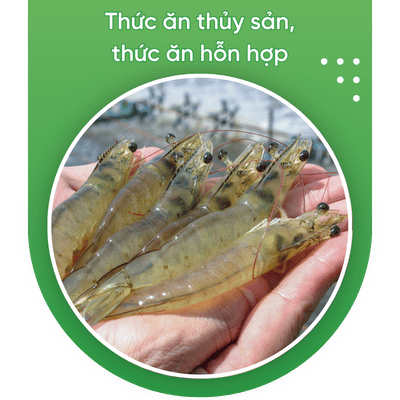 thuc an thuy san