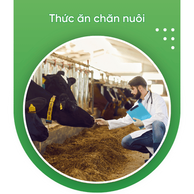 thuc an chan nuoi