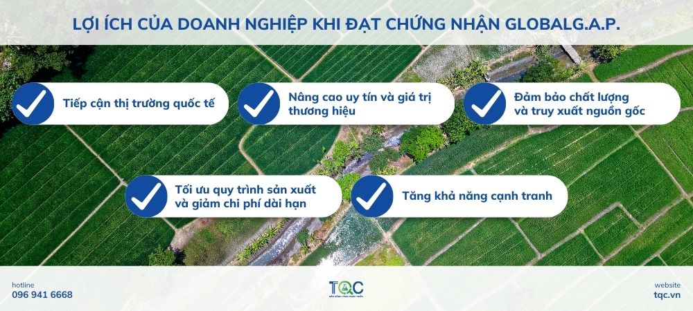 Lợi ích của doanh nghiệp khi đạt chứng nhận GLOBALG.A.P.