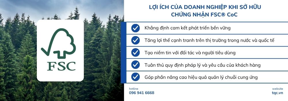 Lợi ích của doanh nghiệp khi sở hữu chứng nhận FSC® CoC