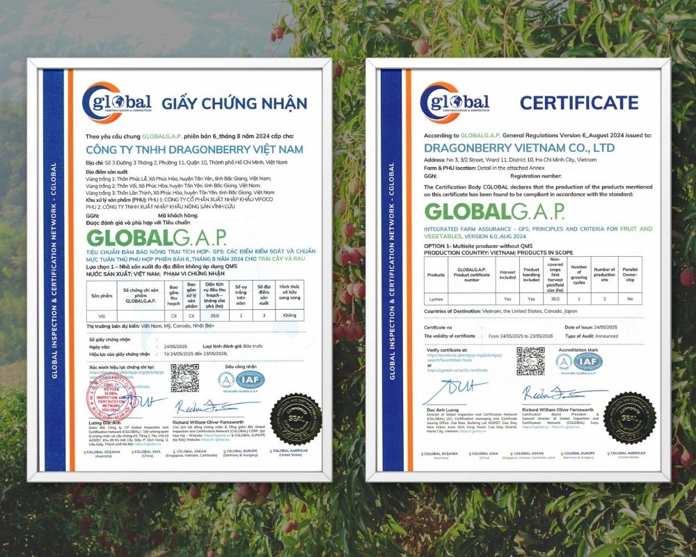 Chứng chỉ GLOBALG.A.P. khi sử dụng dịch vụ tại TQC 