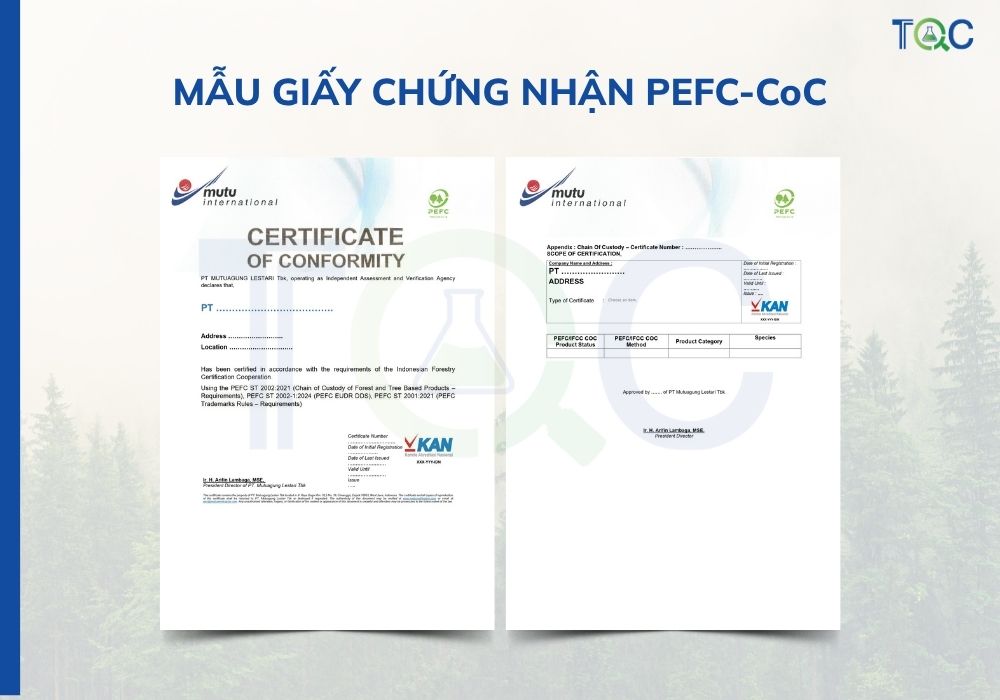Mau giay chung nhan PEFC-CoC