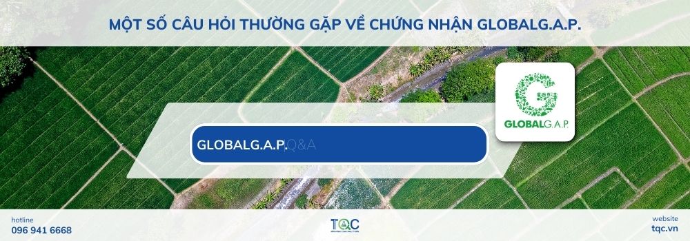 Một số câu hỏi thường gặp về chứng nhận GLOBALG.A.P. 