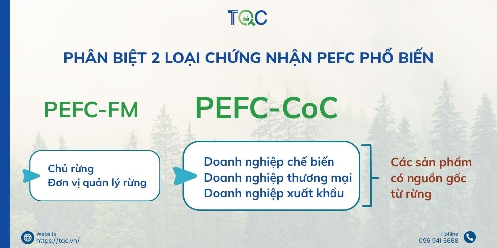 phan biet 2 loai PEFC pho bien nhat
