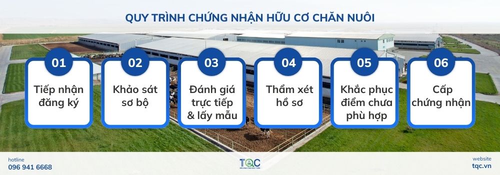 Quy trình chứng nhận hữu cơ chăn nuôi