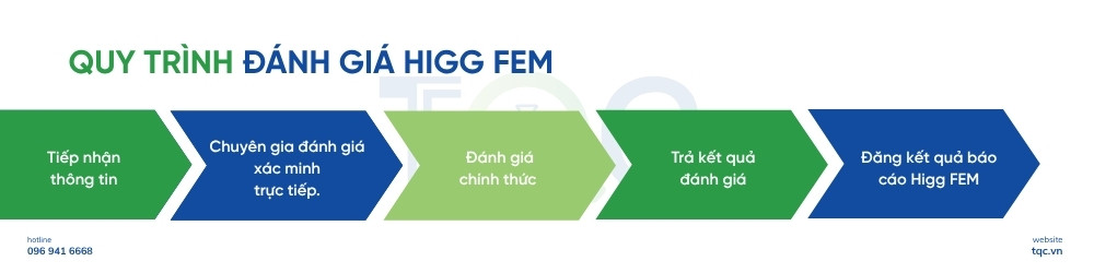 quy trinh danh gia higg fem