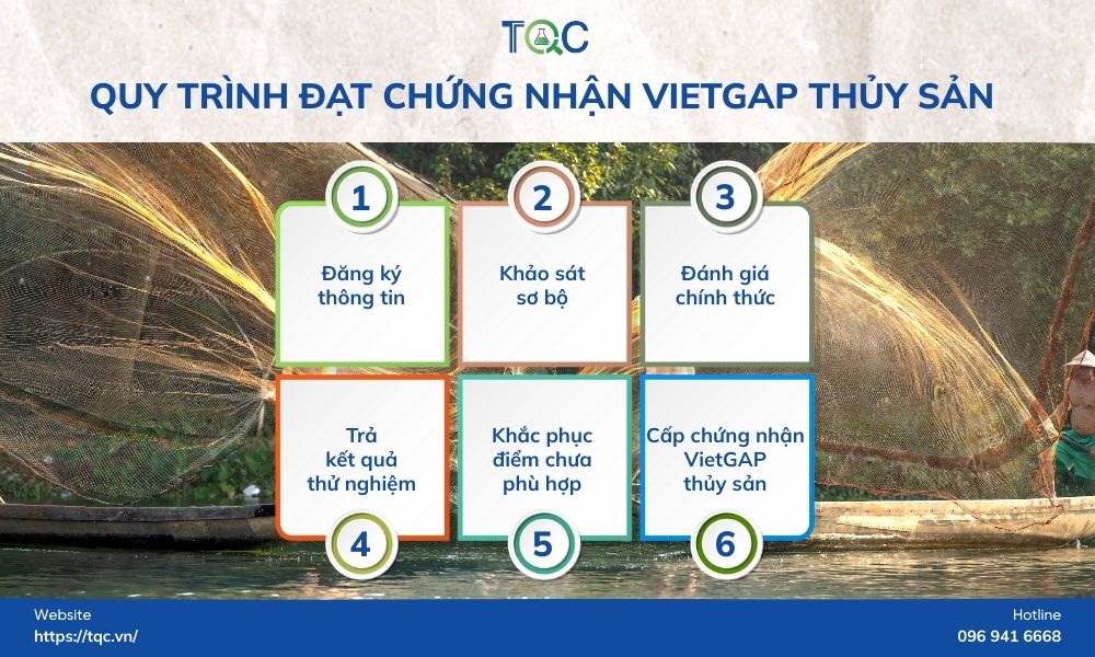 quy trinh dat chung nhan vietgap thuy san