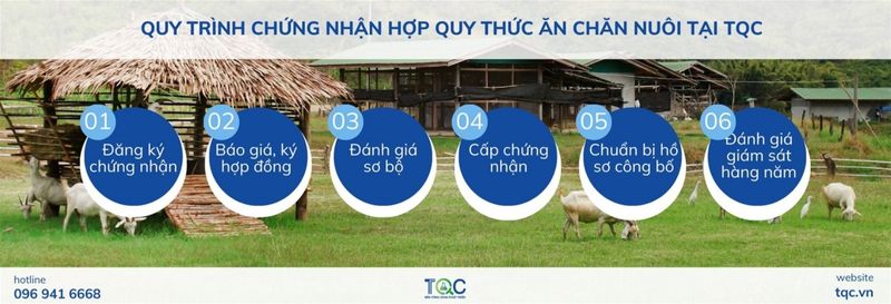 Quy trình chứng nhận hợp quy thức ăn chăn nuôi