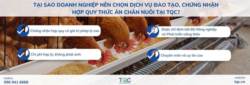 Tại sao doanh nghiệp lên làm HQ thức ăn chăn nuôi tại TQC