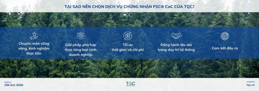 Tại sao doanh nghiệp nên chọn dịch vụ chứng nhận FSC® CoC của TQC?