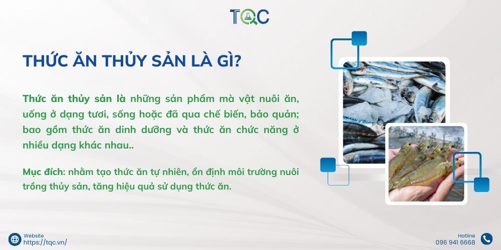 thuc an thuy san la gi