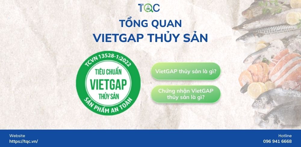 Tong quan ve Vietgap thuy san
