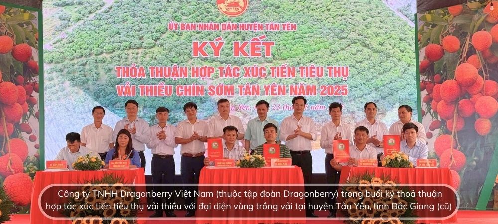 [Case Study] TQC & Dragonberry - Tư vấn, hỗ trợ thành công doanh nghiệp đạt chứng nhận GLOBALG.A.P. , bán hàng trong COSTCO