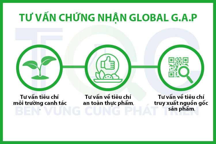 tu-van-chung-nhan-global-gap