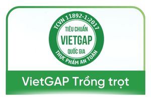 vietgap trong trot 
